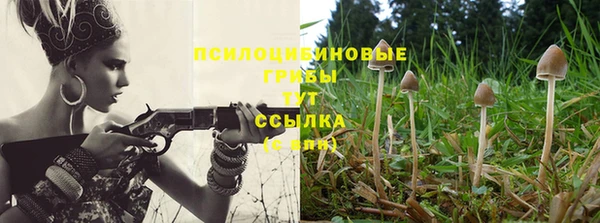 2c-b Заволжье