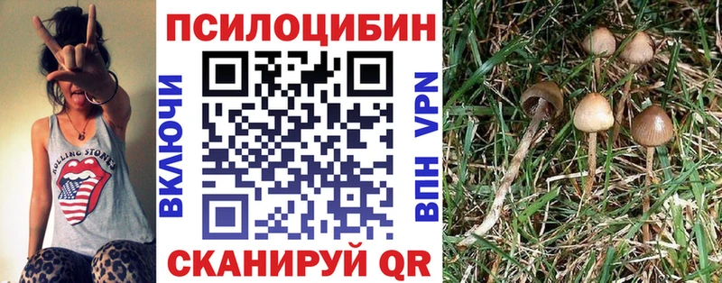 Псилоцибиновые грибы прущие грибы  Керчь 
