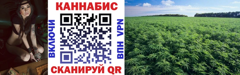 что такое   Керчь  hydra зеркало  Марихуана индика 